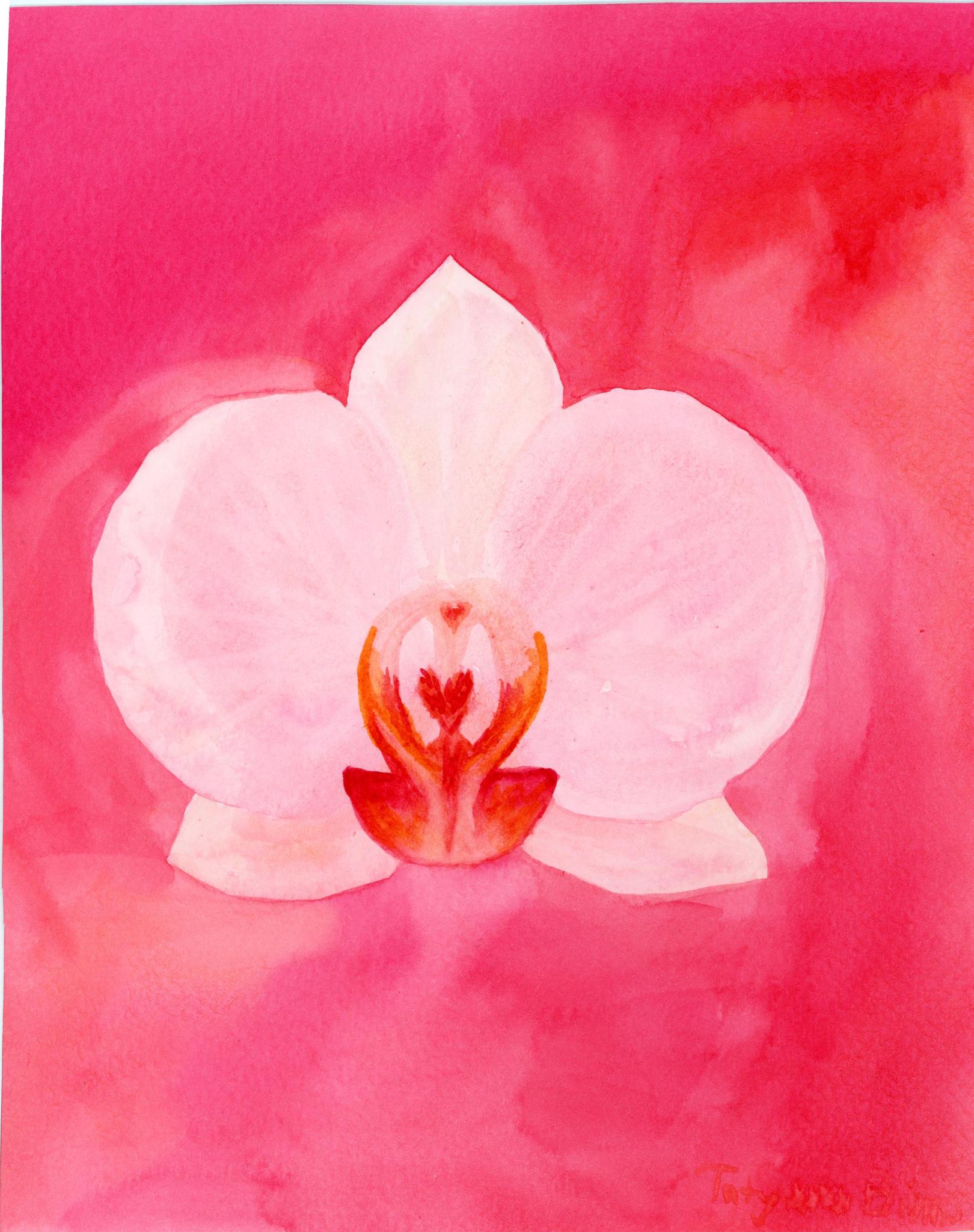 Orchid Watercolor Art